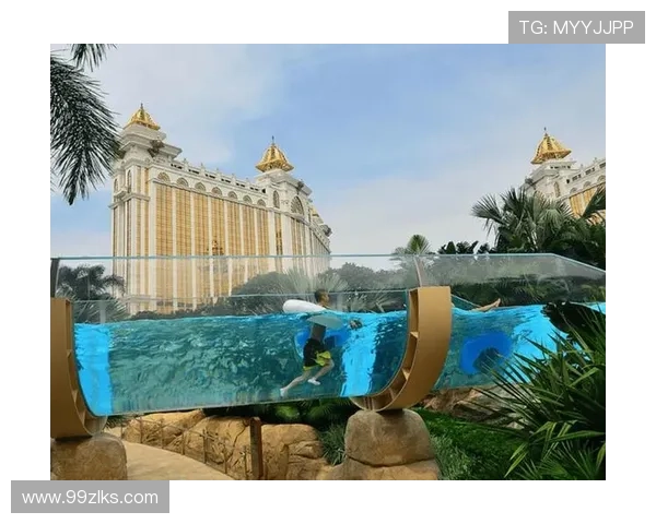 探索澳门网站游戏的魅力与乐趣，畅享无限娱乐体验