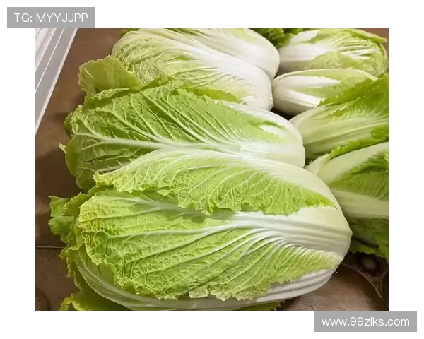 2025年白菜今天批发价格走势分析与预测